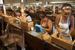 inside-tabaco-factory